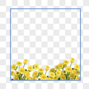 菊花花卉边框图片