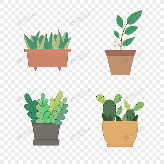 植物素材 盆栽图片
