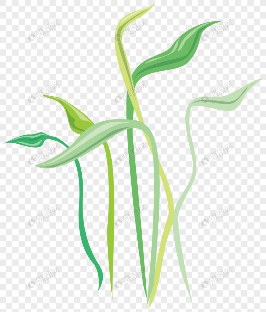 免抠元素 手绘/卡通元素 植物 水生植物.