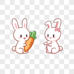 兔子小动物高清图片素材