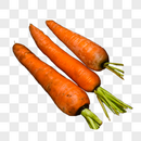 三个胡萝卜图片