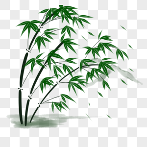 绿色竹子自然高清图片素材