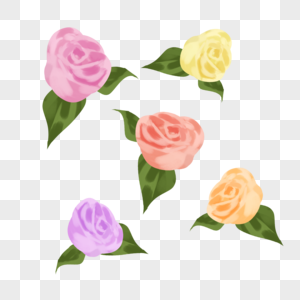 玫瑰花鲜花情人节花朵表白520爱情花束图片