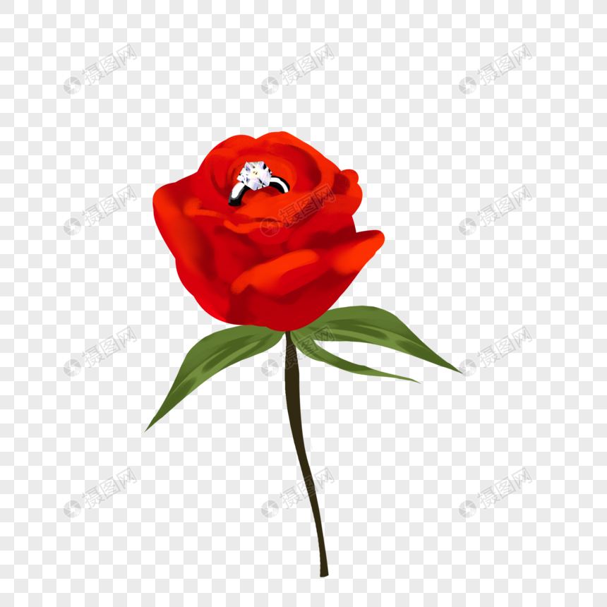 玫瑰花求婚钻戒鲜花情人节花朵表白520爱情花束图片