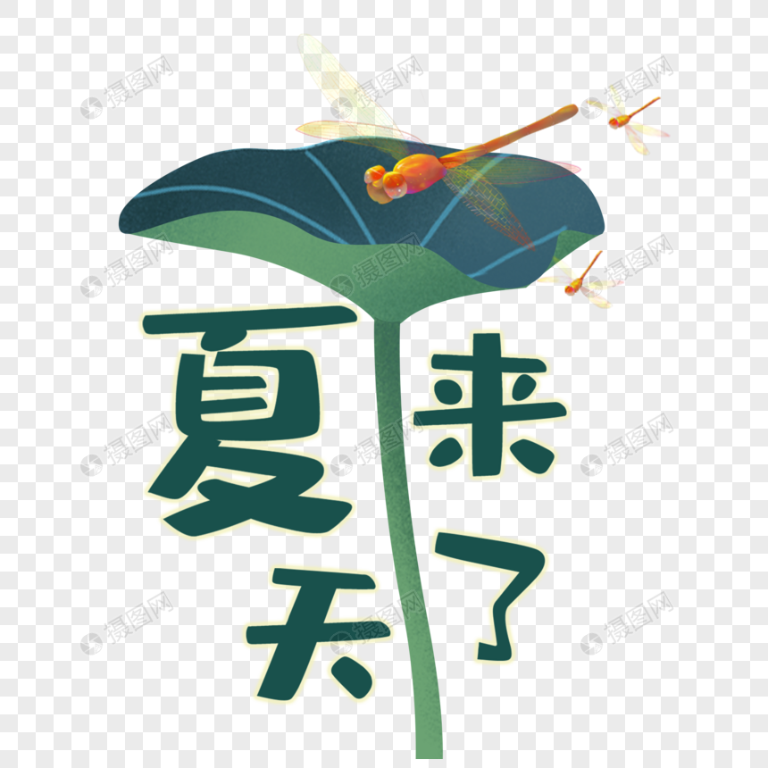 夏天来了荷叶装饰