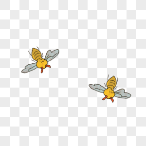 飞翔的蜜蜂图片