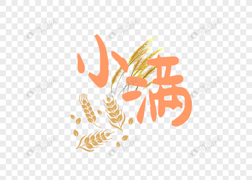 小满金色麦穗丰收麦子艺术字图片