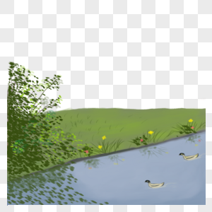 河中的鸭子图片