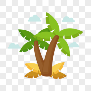 椰子树棕榈树叶高清图片