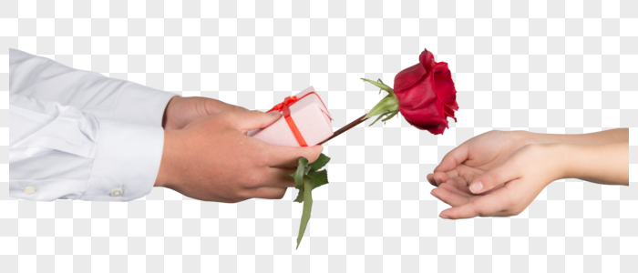 情人节手持玫瑰和礼物图片