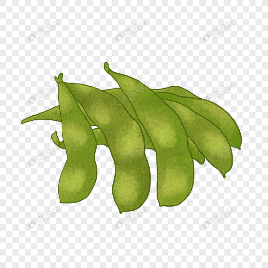 免抠元素 手绘/卡通元素 毛豆.png