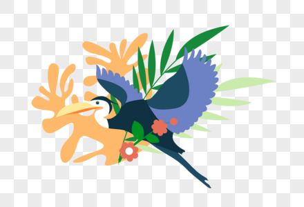 热带海鸟大嘴鸟高清高清图片