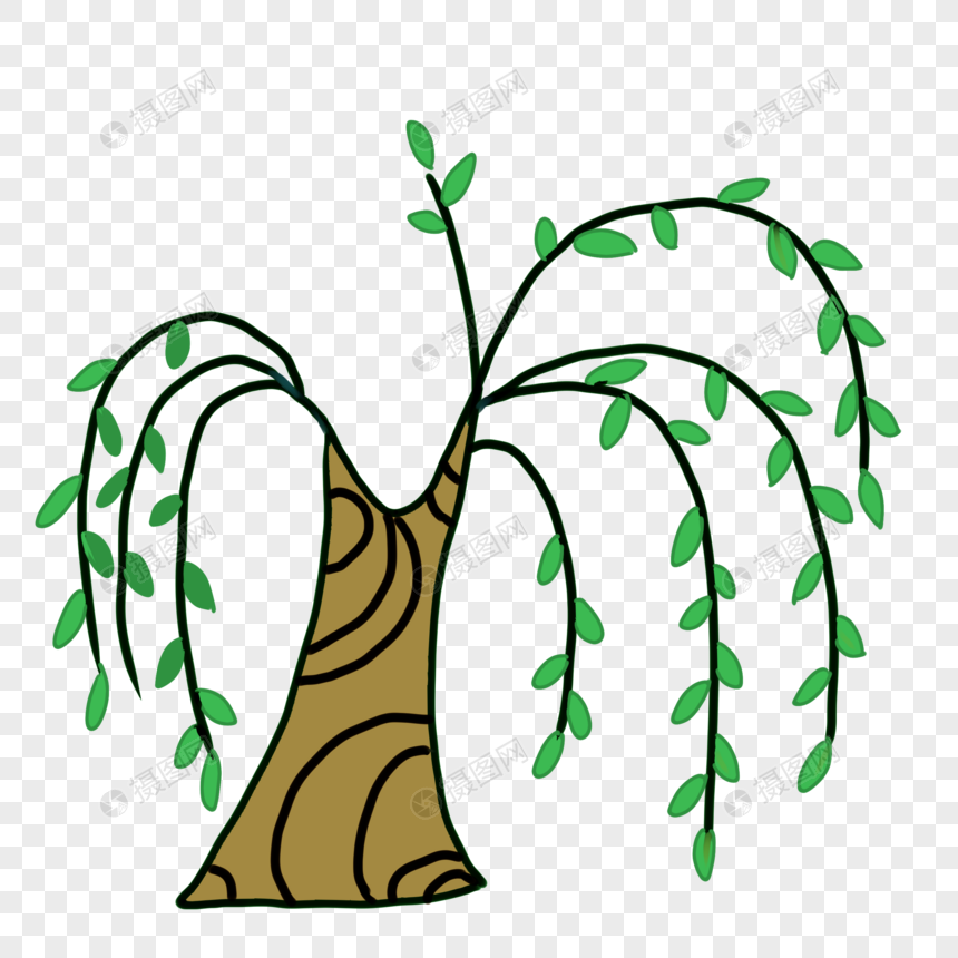 柳树