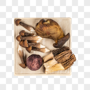 菌菇拼盘蔬菜菌菇高清图片