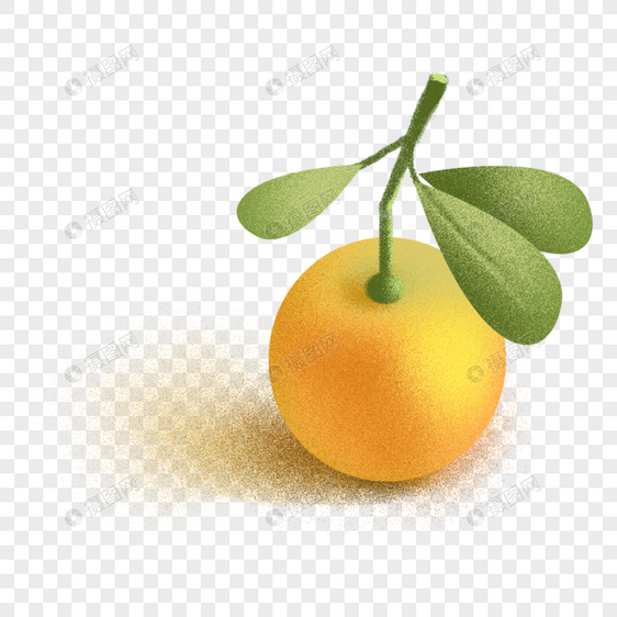 手绘橘子插画图片