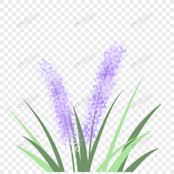 春天夏天紫色花朵植物手绘装饰图案背景图片