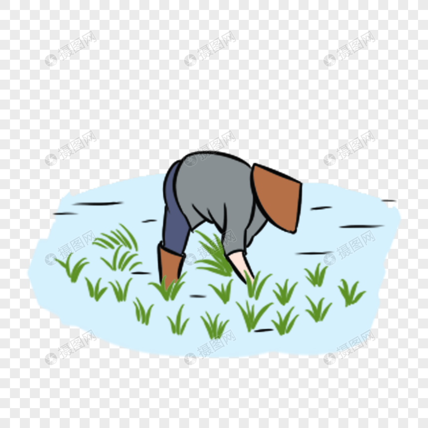 插秧