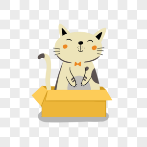 坐在箱子里的小猫高清图片
