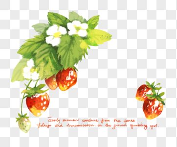草莓边框素材图片