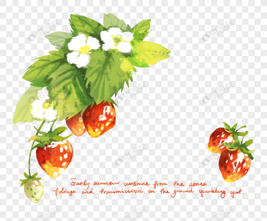 草莓边框素材图片