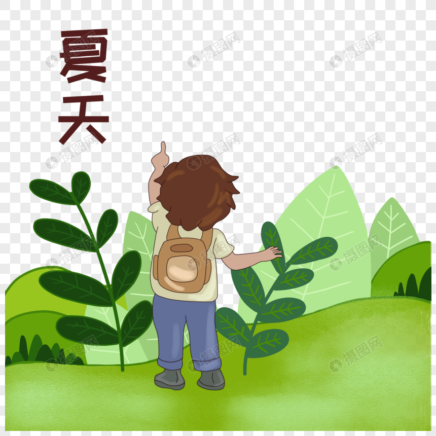 草地上的男孩