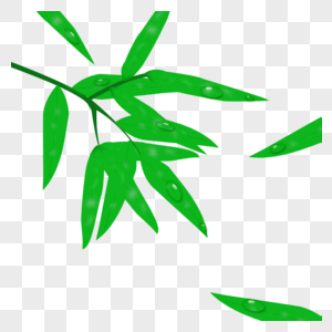绿色竹叶图片