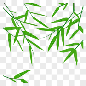 绿色大片竹叶子高清图片