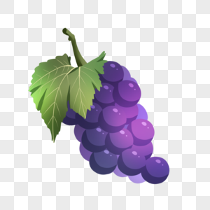 手绘新鲜水果美味葡萄高清图片