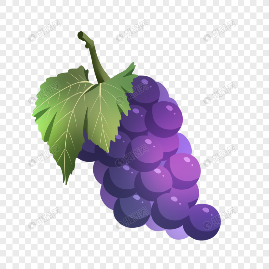 手绘新鲜水果美味葡萄图片