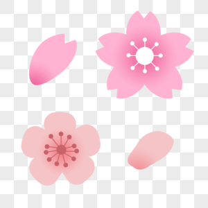 樱花图标图片