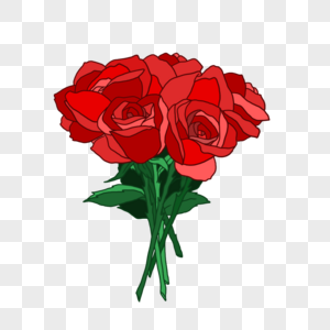 浪漫情人节娇艳美丽的玫瑰花束图片
