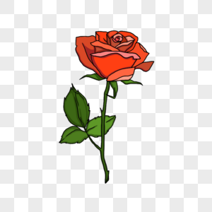 浪漫情人节一朵娇艳的玫瑰花图片