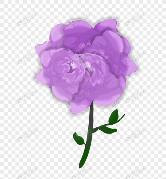 卡通手绘一朵紫色鲜花图片