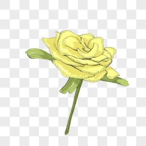 一朵黄色玫瑰花图片