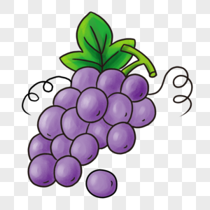 葡萄水果紫葡萄高清图片