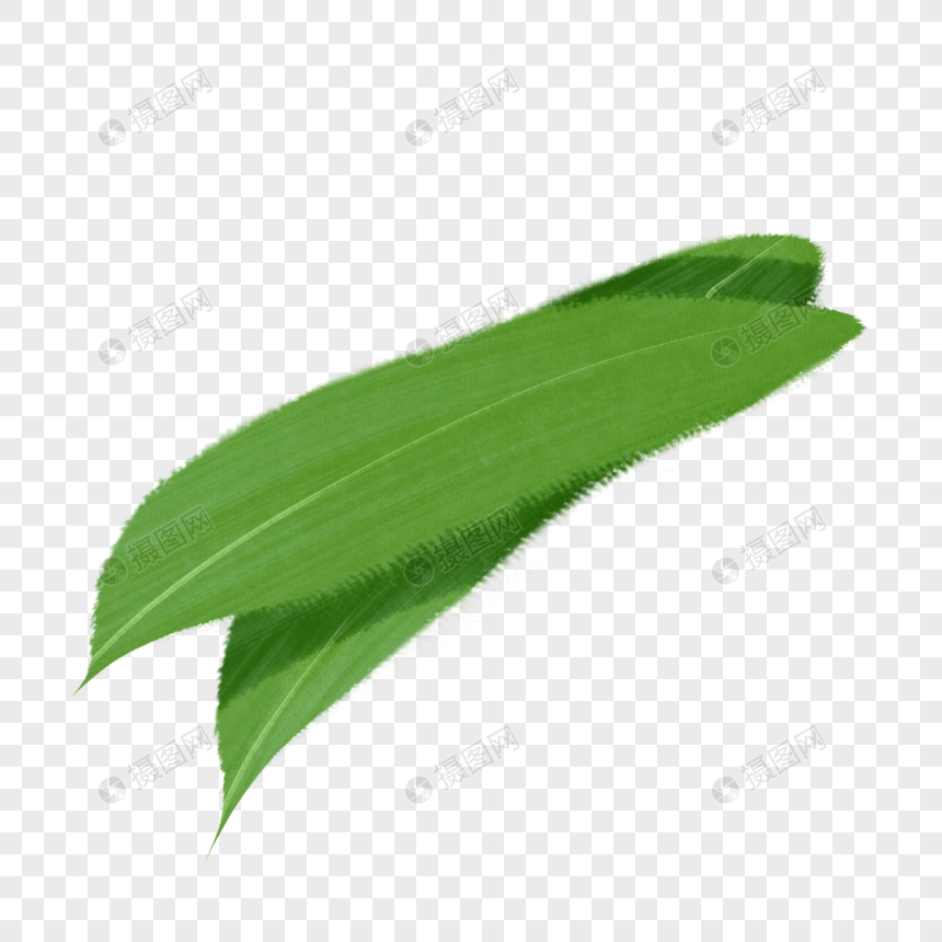 手绘粽叶