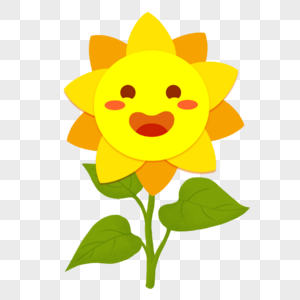 夏天可爱向日葵太阳花图片