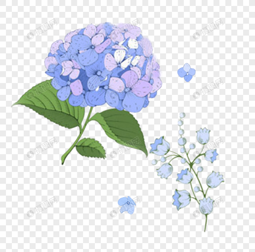 绣球花元素素材下载-正版素材401207930-摄图网