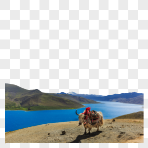 西藏羊左雍措湖美丽风光图片