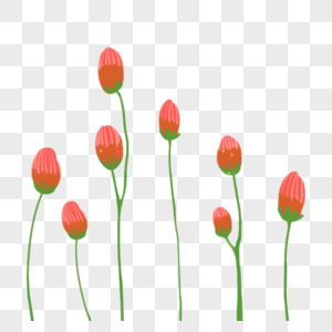 植物红色花丛图片