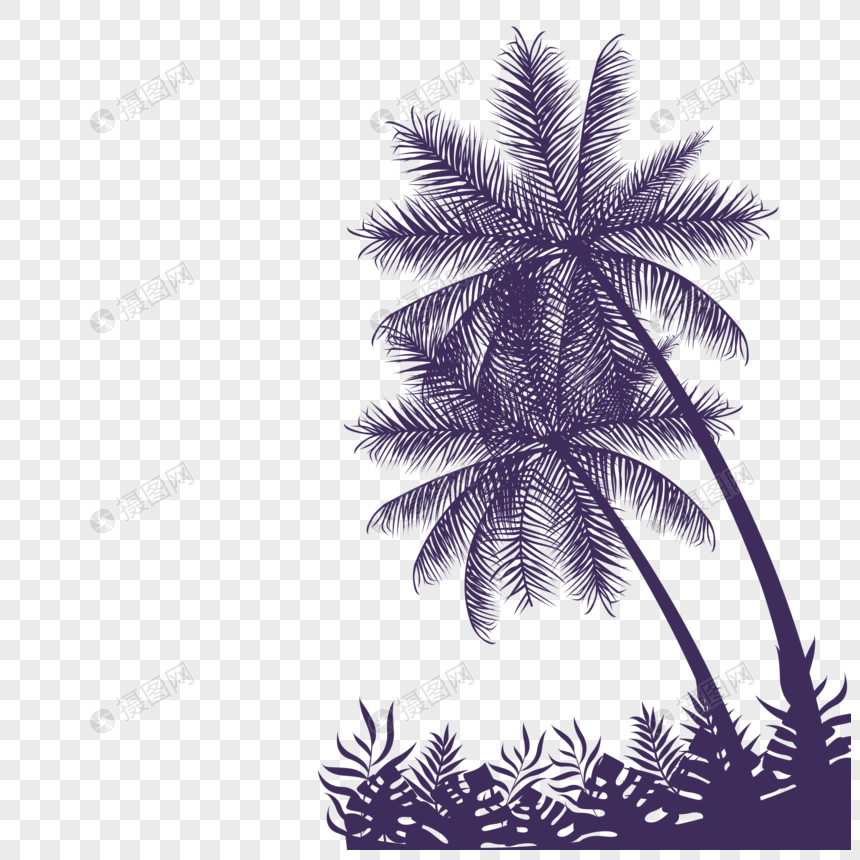 海边椰树剪影图片