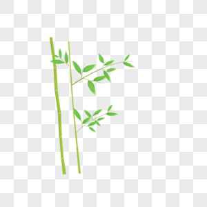 带叶子的竹子图片