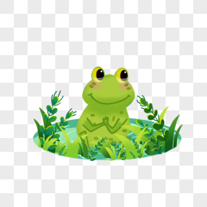 夏天池塘青蛙图片