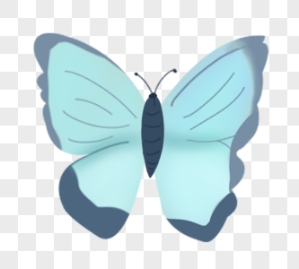蝴蝶飞行昆虫蓝色高清图片