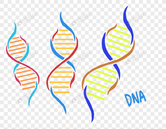 DNA基因遗传物质图片