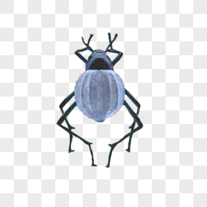 甲虫标本昆虫标本高清图片