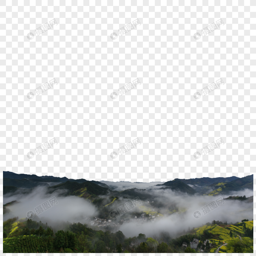 大气壮观的云海油菜花田图片