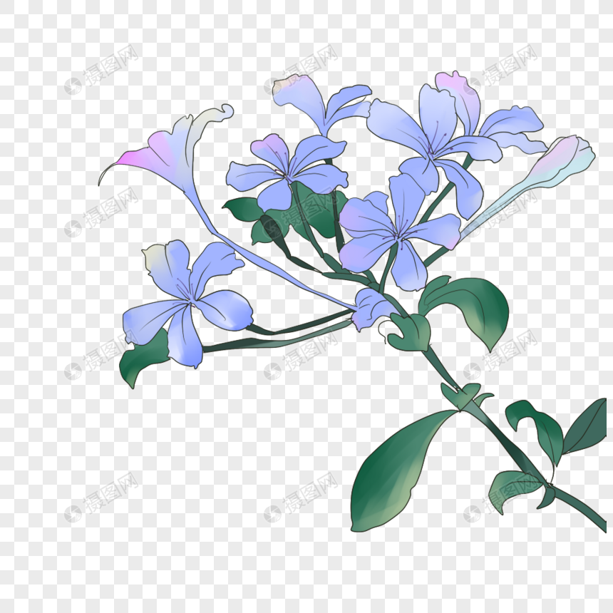 插画花