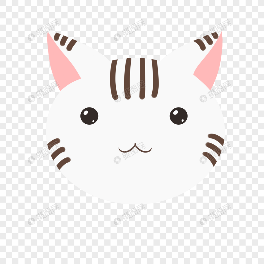 银渐层猫
