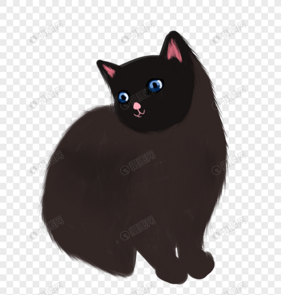 黑猫咪图片